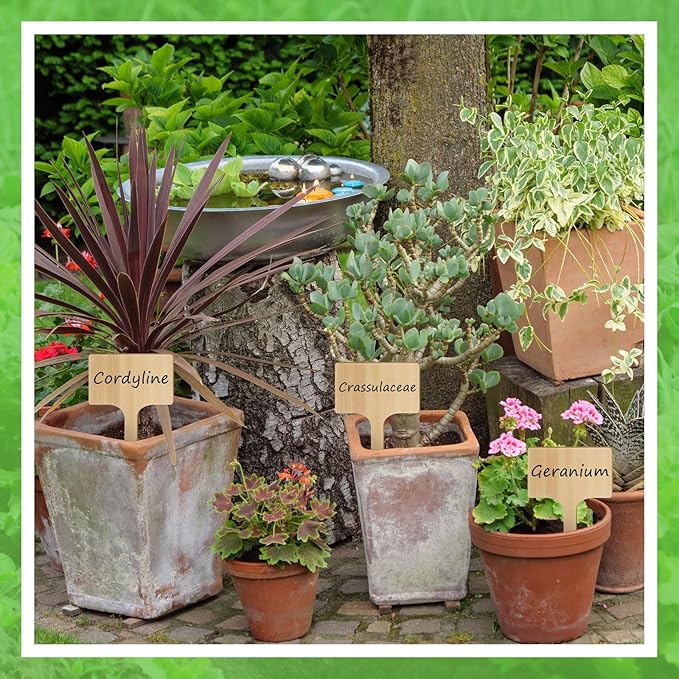 Hicarer 30 Pcs 9.4" x 5" Extra Large Bamboo Garden Markers, Natural Wood T-Type Large Plant Labels for Herbs, Flowers & Vegetables – Easy to Read Full-Size Tags for Garden Outdoor
