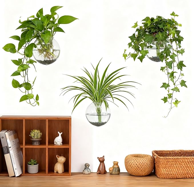 4 pcs Glass Wall Hanging Planter, Oval Terrarium Vase, Propagation Station for Hydroponics, Indoor Plants, Home Office Decor (Medium)