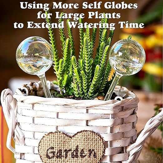 2pcs Glass Plant Watering Globes, Clear Rainbow Color Flower Self-Watering System Spikes, Automatic Plant Waterer Bulbs for Indoor & Outdoor Plants Everyday Use