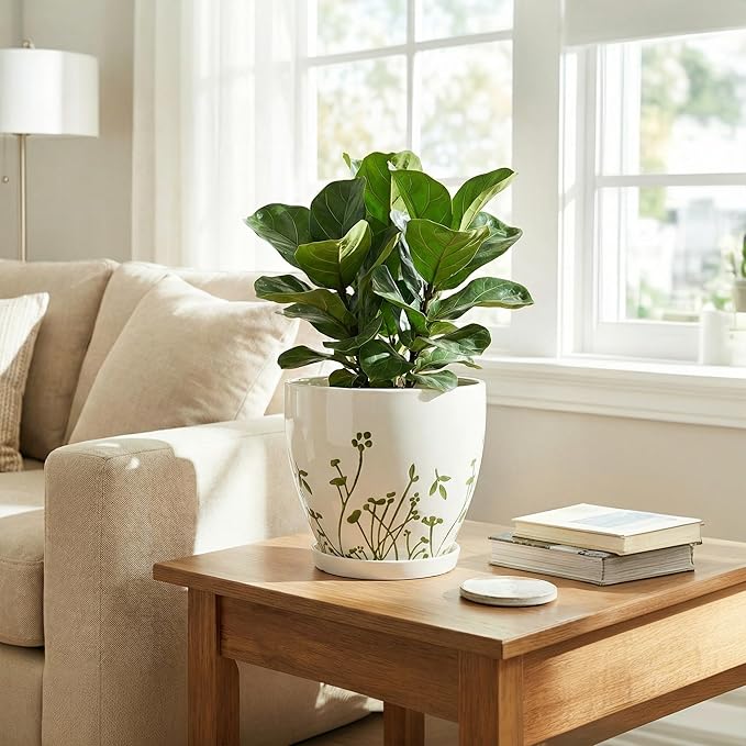 MPotTo Indoor Plant Pot 8.2 Inch - Ceramic Planter with Drainage Hole and Saucer, Boho Round Decorative Flower Pot for Indoor Outdoor Flowers, Plant Lover Gifts, Office Home Garden Patio Decor, White