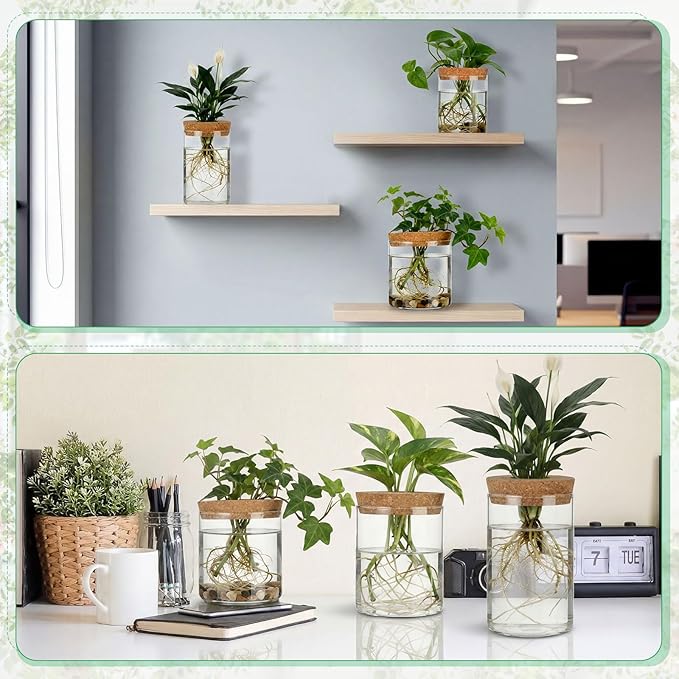 6 Pcs Glass Plant Propagation Stations (2 Large + 2 Medium + 2 Small) Hydroponic Flower Vases Desktop Plant Terrarium Jar for Cuttings, for Living Room, Bedroom, Home Decoration