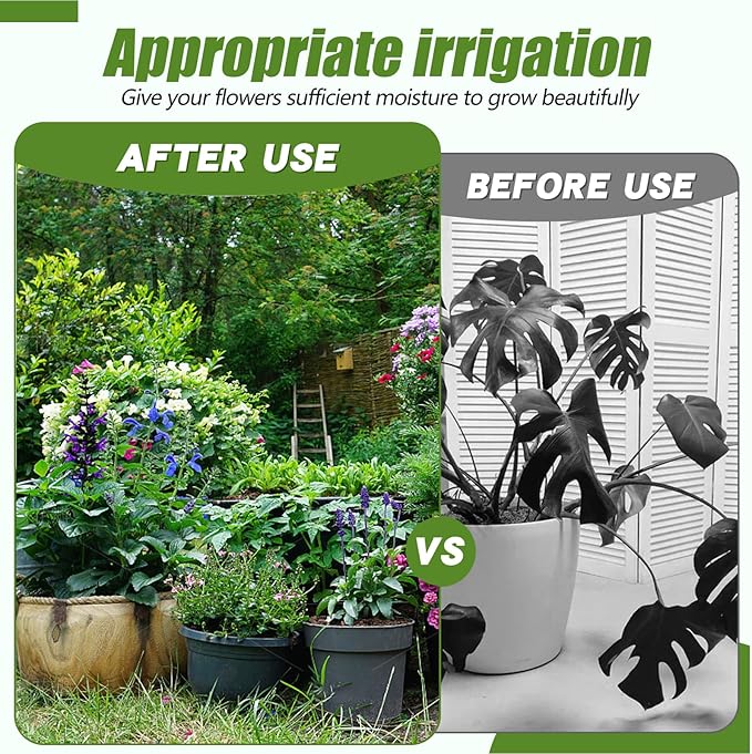 Plastic Watering Can - for Indoor and Outdoor Home Garden Plants - with Long Spout - Green - 1/4 Gallon