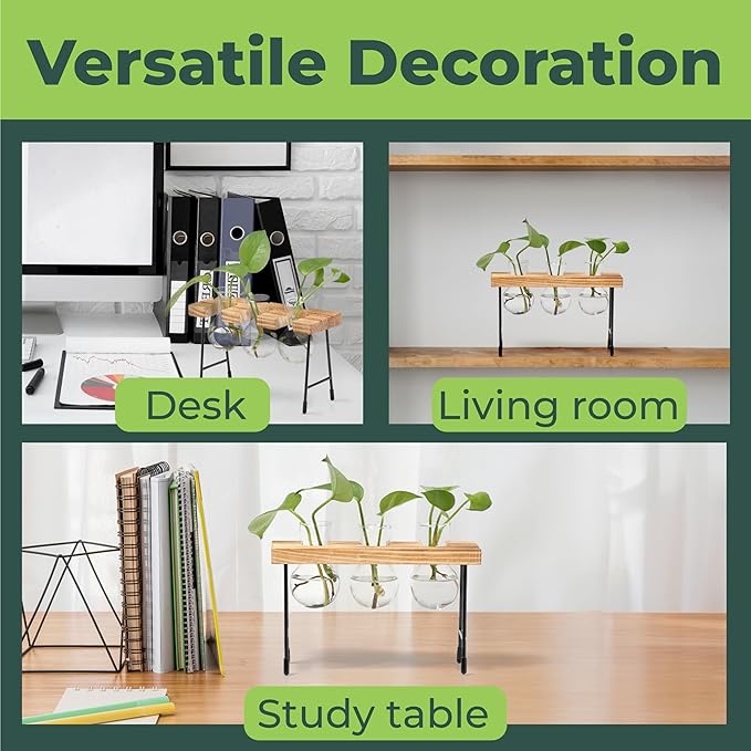 Window Garden Plant Terrarium Glass Vase with Stand - Set of 3 - Real Wood Frame with Transparent Bulb-Shaped Glass - Propagation Stations for Indoor Plants - Wooden Finish