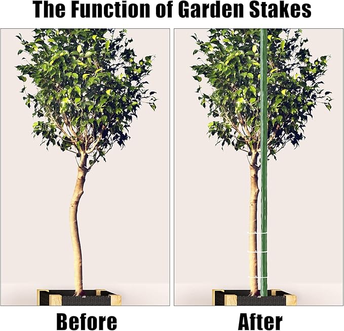FEED GARDEN Garden Stakes 72 Inch 6ft 25 Pack, Sturdy Plant Metal Sticks Support, Plastic Coated Plant Stakes,Tomato Stakes, Beans,Trees