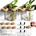 Baderke 6 Set Wall Plant Holder with Plastic Propagation Vases Hanging Planter Wall Mounted Set for Plants Growing in Water Hydroponic Artificial Plants Indoor Decor (2.48" X 4.72",Test Tube)