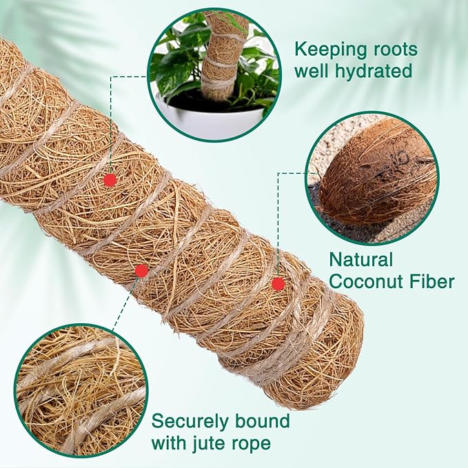 AlisisFores 4 Pcs Bendable Moss Pole for Monstera Plant Support，24 Inch Handmade Coir Pole Stick for Climbing Plants Indoor Plant Stakes for Potted Plants to Grow Upwards