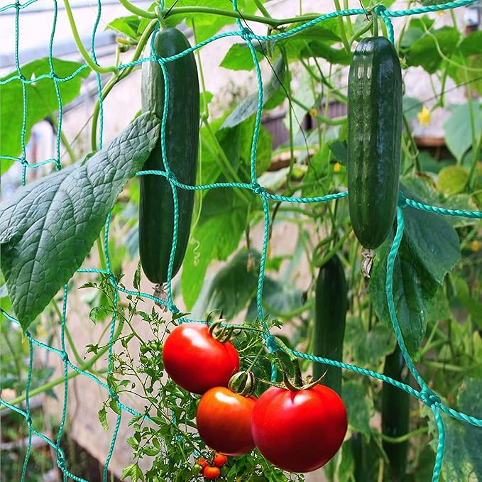 Trellis Netting for Climbing Plants - Heavy Duty Garden Trellis Netting for Cucumber, Vine, Fruits & Vegetables Tomato Plants Trellis Net, Climbing Vining Plants (1-Pack 24.6' x 6.6'Ft)