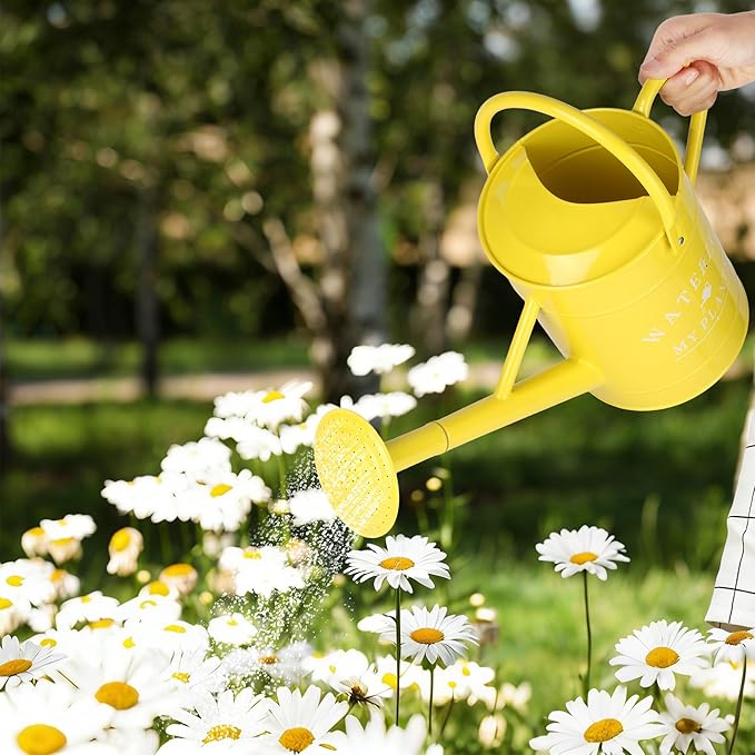 Garutom Galvanized Watering Can for Outdoor Indoor Plants, 1 Gallon Decorative Countryside Water Can with Removable Spout, Metal Watering Can for Indoor Plants and Garden Flower (Yellow)