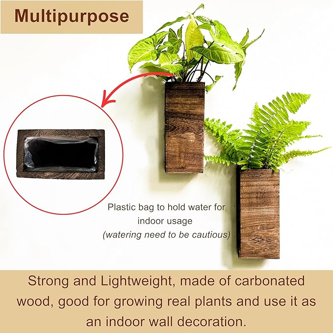 LaLaGreen Wood Wall Planters (8 Inch, 2 Pack) Include Bunny Tails Dried Flowers, Hanging Planter Wooden Box Vase for Indoor Modern Rustic Farmhouse Decor Home Living Room Bathroom Trendy Decoration