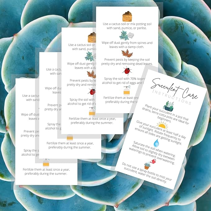 Succulent Care Instruction Cards | 50 Pack | 2x3.5” in Business Card | Succulent Care Cards | Plant Care Guide for House Sitter, Neighbor, Friend | White Card with Colored Icon