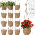 12 Pcs Seagrass Hanging Planter Basket Hand Woven Plant Basket with Plastic Liners Hanging Plant Holder Storage Containers with Cotton Rope for Indoor Garden Decor (Small,Brown)