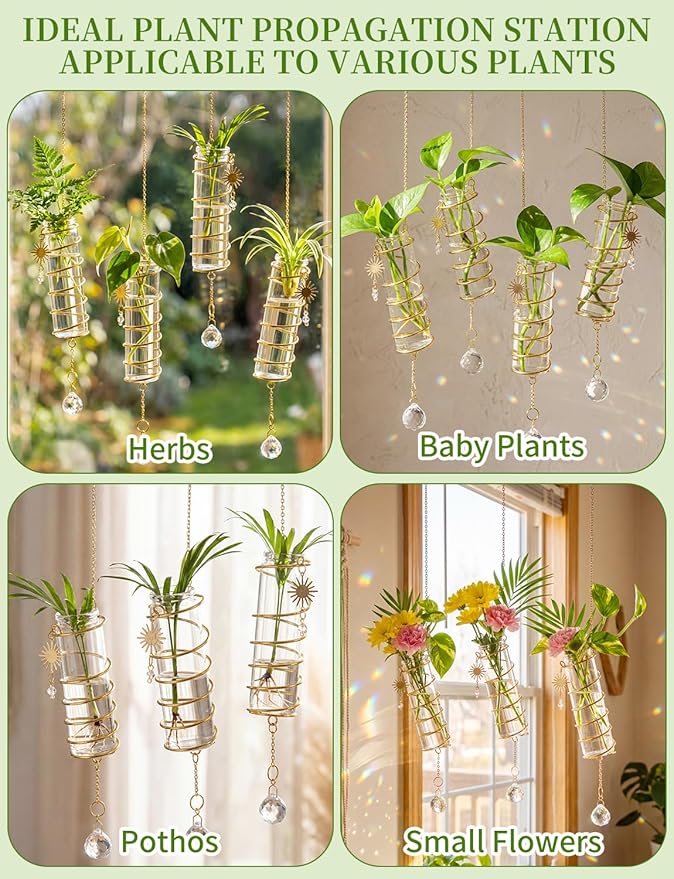 3 Pack Hanging Propagation Station with Crystal Sunshine Catcher Glass Window Propagation Tubes Vases with Gold Metal Chain for Indoor Hydroponics Plants Home Decor