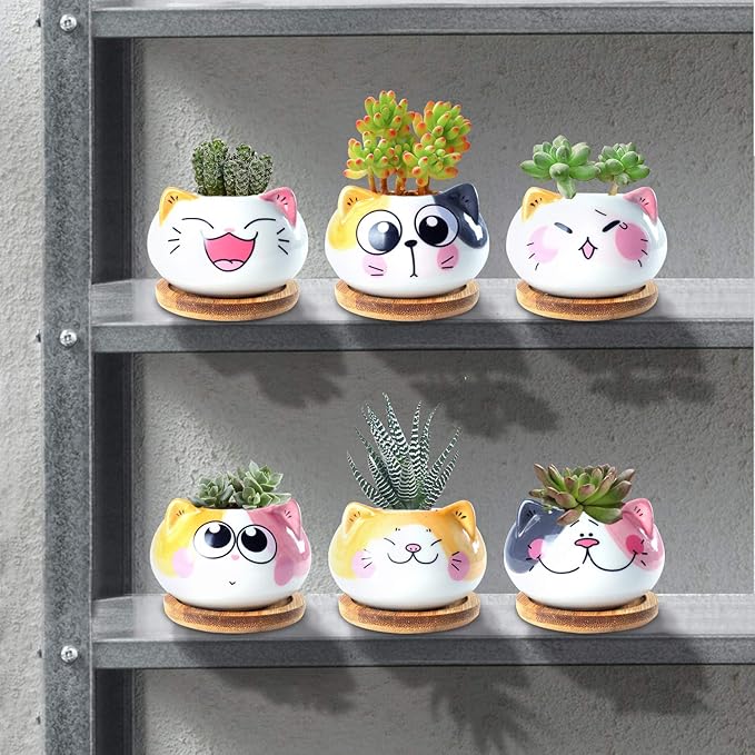Succulent Pots with Drainage 3.6 Inch Mini Cat Pots for Plants Tiny Animal Planter Small Ceramic Air Plant Flower Pots Cactus Faux Planters Containers with Bamboo Tray
