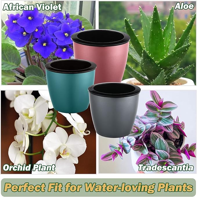 Planterhoma 6.7 Inch Self Watering Pots for Indoor Plants, 6 Packs African Violet Pots, Black Wick Pot with Drainage Holes, Self Watering Planters for Orchid, Devil's Ivy, Silver/Blue Gold