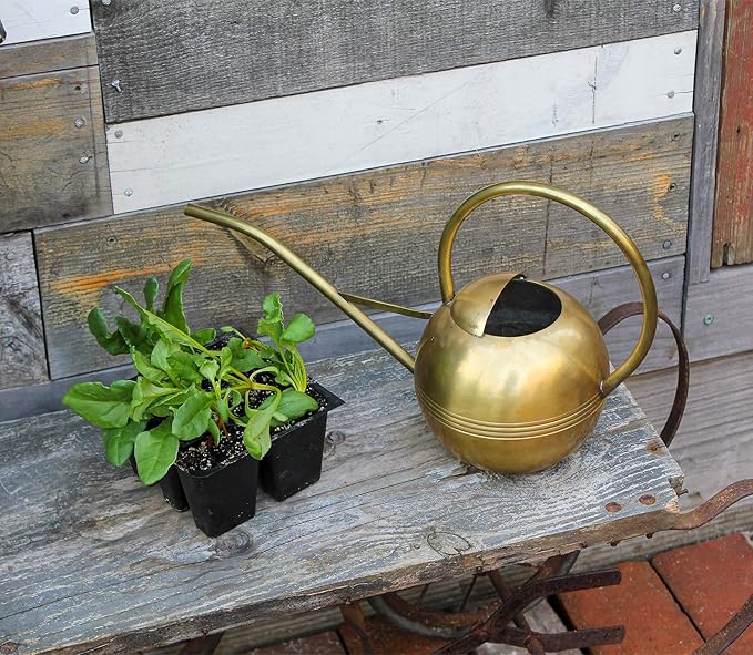 Achla WC-01 Designs Watering Can, 1L, Brass