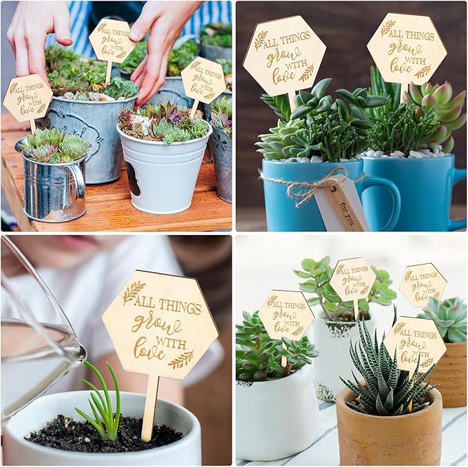 AnyDesign 30 Pcs All Things Grow with Love Labels Succulent Tags Hexagon Wooden Plant Stakes Labels Garden Marker Plant Sign for Seed Potted Teacher Appreciation Gift Thanksgiving Baby Shower