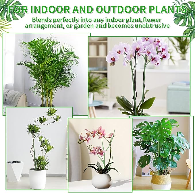 ROADPLUM 2 Pack 27.56" Detachable Twig Plant Support Stakes Set, Blends in to Plant, Branch Plant Sticks with Orchid Clips Twist Plant Ties, Twig Trellis for Indoor Outdoor Plants Potted Plants Flower
