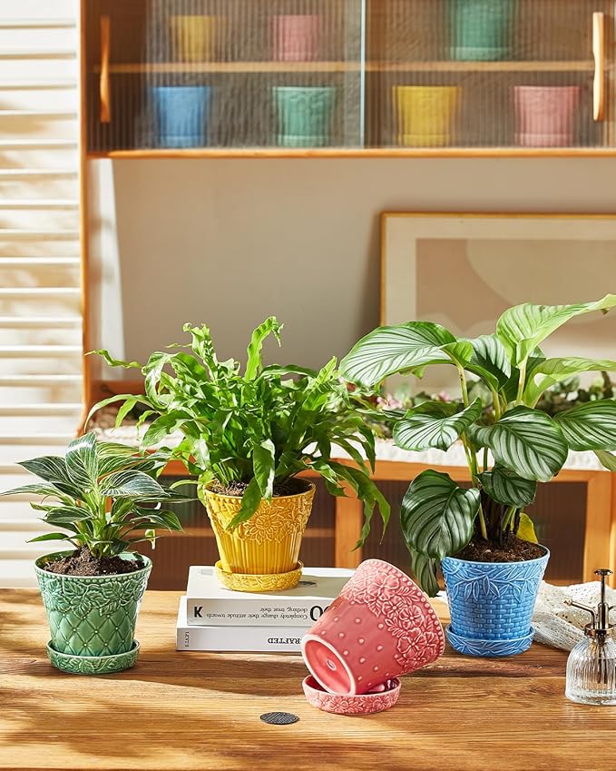 Metahom Ceramic Plant Pots, 5.8 Inch Flower Pots for Indoor Plants, Planters with Drainage Hole & Saucer, Garden Planters for Succulent, Orchid, Cactus, Home Decor, Set of 4, Assorted Colors