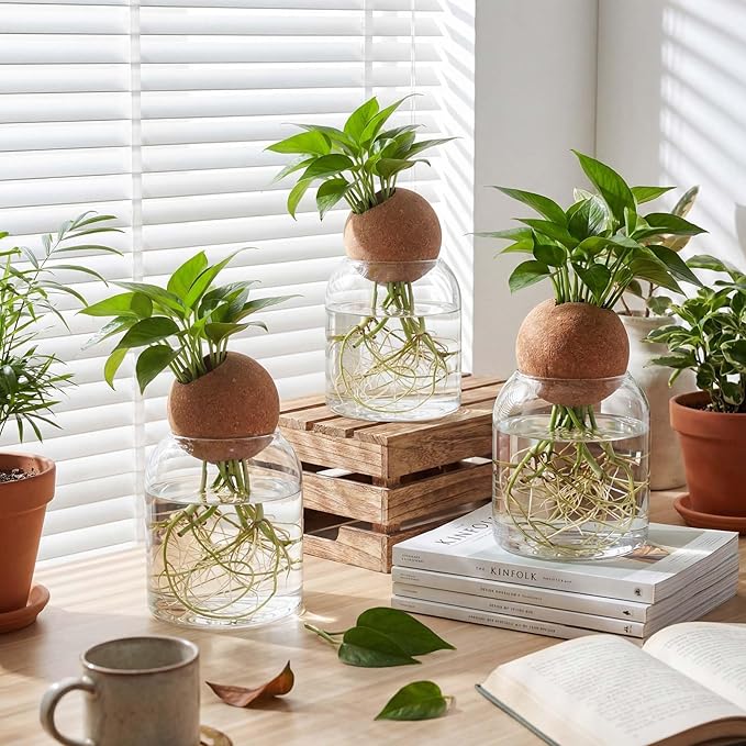 Baderke 3 Pcs Glass Plant Propagation Stations with Spherical Lid Glass Jars Plant Propagation Vases Hydroponic Spherical Cork Planter for Indoor Home Office Desktop Decor(Round,3.94 Inches)