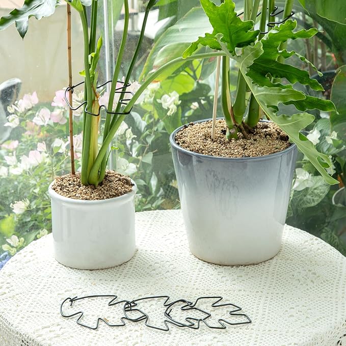 Yohsnor Monstera Plant Stem Support Set of 5 - Durable Stabilizers for Monstera and Climbing Plants - Ideal for Plant Lovers and Garden Care