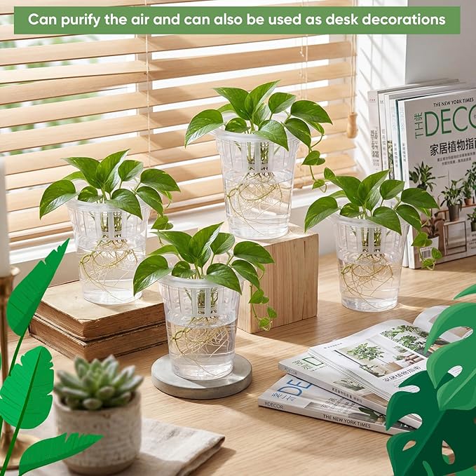Baderke 70 Pcs Plastic Plant Propagation Station Desktop Terrariums Plant Tabletop Vase with Hydroponic Baskets for Indoor Home Office Desktop Decor (4.25'')