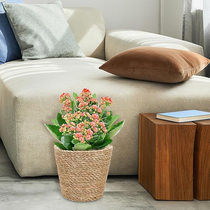 Hemoton Rattan Planter Basket Wicker Plant Flower Pot 8.7 Inch Seagrass Woven Indoor Planter for Home Decor and Succulent Plants