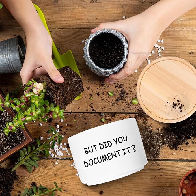 Office Desk Shelf Decor, Succulent Plant Pot, Ceramic Flower Cactus Planter Office Accessories Gifts for Coworker Employee Colleague Women Men Friend, But Did You Document It (Plants Not Included)