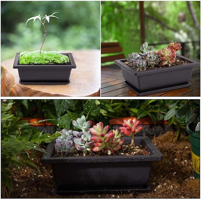 PAMASE 8 Packs Bonsai Training Pot with Humidity Tray - 6.5in & 9in Training Nursery Pots Kit, Plastic Plants Growing Planter with Drainage Tray, Indoor Succulents Decor Garden