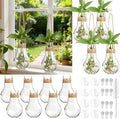 Baderke 12 Sets 3.15" Plastic Window Propagation Stations Hanging Propagation Vases Plant Test Tubes with Suction Cup & Traceless Nail & Brush Clear Wall Jars for Office Home Garden Decor Lover Gift
