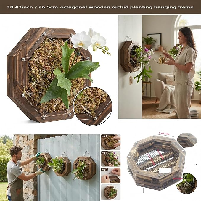 Staghorn Fern Mounting Kit - Wood Wall Planter for Orchids,Herbs & Indoor Plants | Hanging Plant Holder,Basket & Stand for Wall Decor(10.43inch)