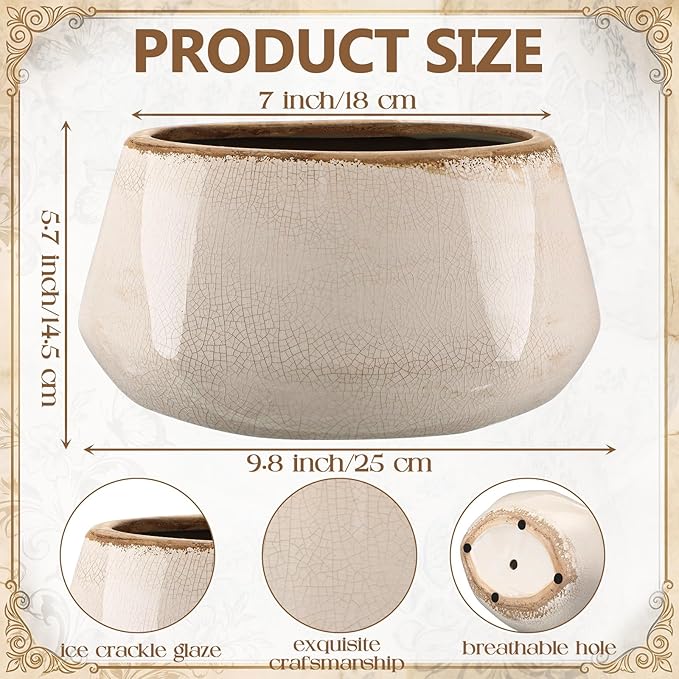 9.8 Inch Large Vintage Ceramic Planter Ice Crack Glaze Gray Peony Flower Pot with Drainage Holes Rustic Country Plant Pots Decorative Gifts for Home Kitchen Office Indoor Outdoor Plants