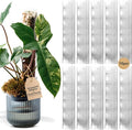 THICCLY V3 GrowPole Medium 10 Pcs - Front Opening Plastic Moss Poles for Climbing Plants, D-shaped moss pole for Monstera Plant Support Plant Climbing Pole, Plastic Plant Pole Support for Philodendron