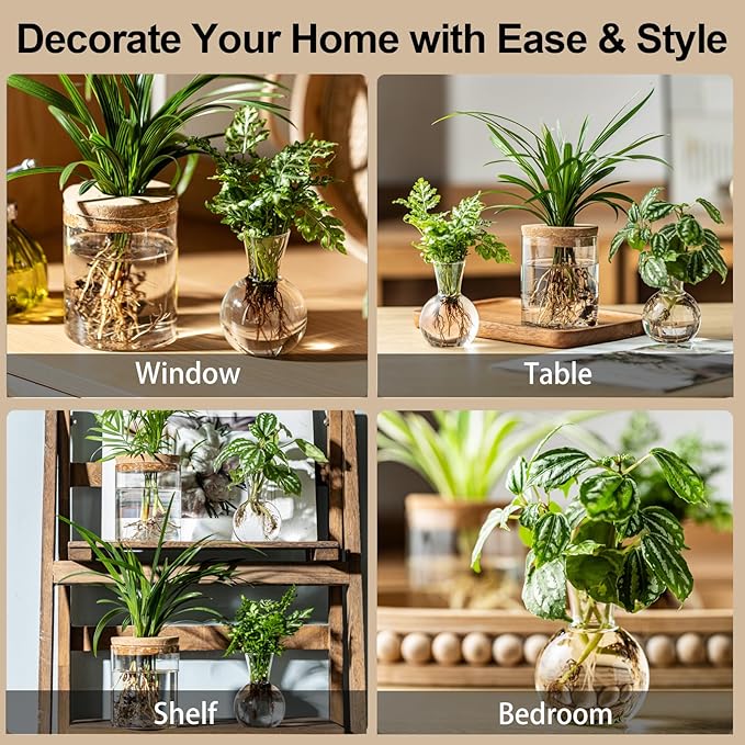 Plant Propagation Stations, 2 Style Glass Planter Terrariums, Propagation Vases for Plant, Plant Propagation Jars for Hydroponic Planter Home Office Tabletop Decoration (4)
