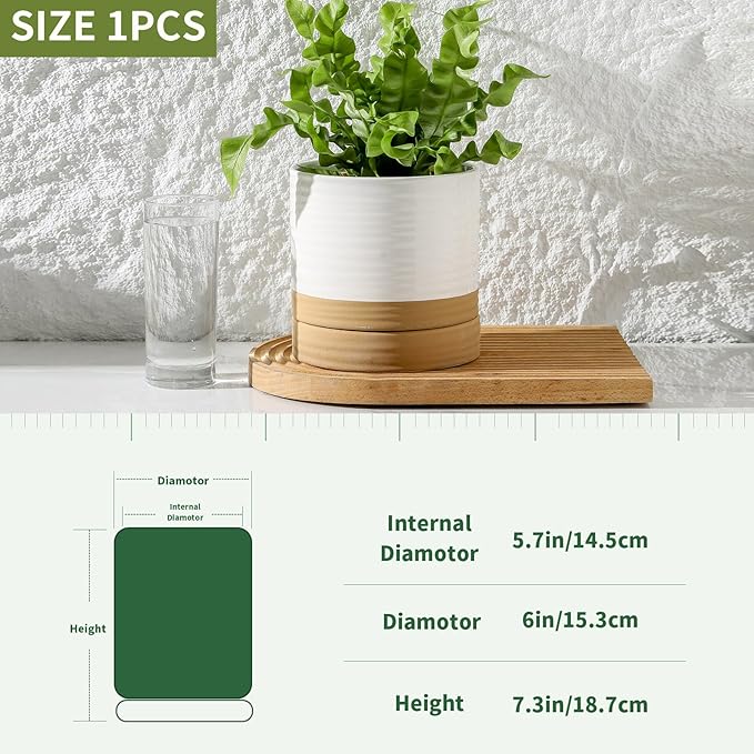 HASENSE 6 Inch Indoor Plant Pot, Ceramic Flower Planter with Drainage Hole and Saucer, Modern Pots for Plant with Two-Tone Design, Perfect for Wedding Birthday Gift, White-Brown