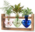 Plant Propagation Station 3Pcs Heart Vase with Wooden Stand Tabletop for Hydroponics Indoor Home Table Decor for Her Plant Lovers Women Mom Wife Daughter (Three Colors)