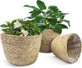KJET 3PCS Seagrass Planter Basket with Plastic Liner, Boho Woven Plant Pots for Indoor Outdoor, Flower Baskets Containers for Garden and Home Decor