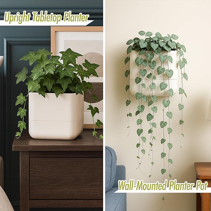 Phoenix Vine 6.5 Inch Wall Mounted Self-Watering Planter Pots for Indoor Houseplants and Herbs | Hanging Planter for Window Sills, Bathroom Walls, Home & Office Décor, Oatmeal, Set of 3, 01-C-G-3