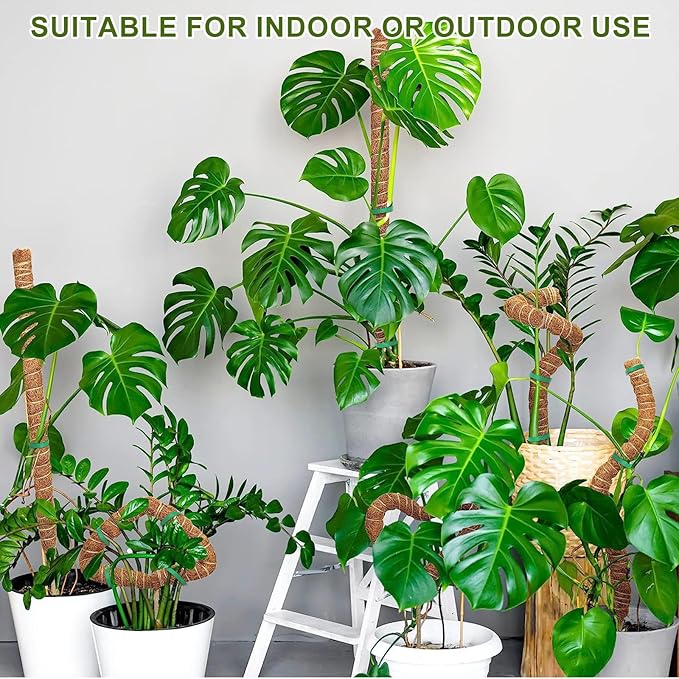 Moss Pole Monstera Plant Support, 2 Ft, 2 Pack Sustainable Coir Bendable Moss Pole Stakes, Plant Sticks for Climbing Vines, Pothos, Potted, Comes with Velcro Tape and Hemp Rope