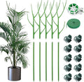 ROADPLUM 5 Pack 27.56" Detachable Twig Plant Support Stakes Set, Blends in to Plant, Branch Plant Sticks with Orchid Clips Twist Plant Ties, Twig Trellis for Indoor Outdoor Plants Potted Plants Flower