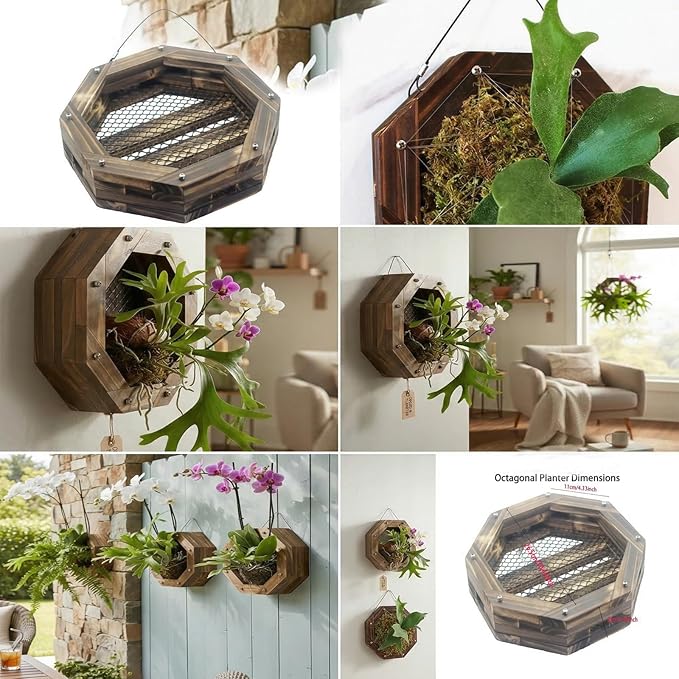 Staghorn Fern Mounting Kit - Wood Wall Planter for Orchids,Herbs & Indoor Plants | Hanging Plant Holder,Basket & Stand for Wall Decor(10.43inch)