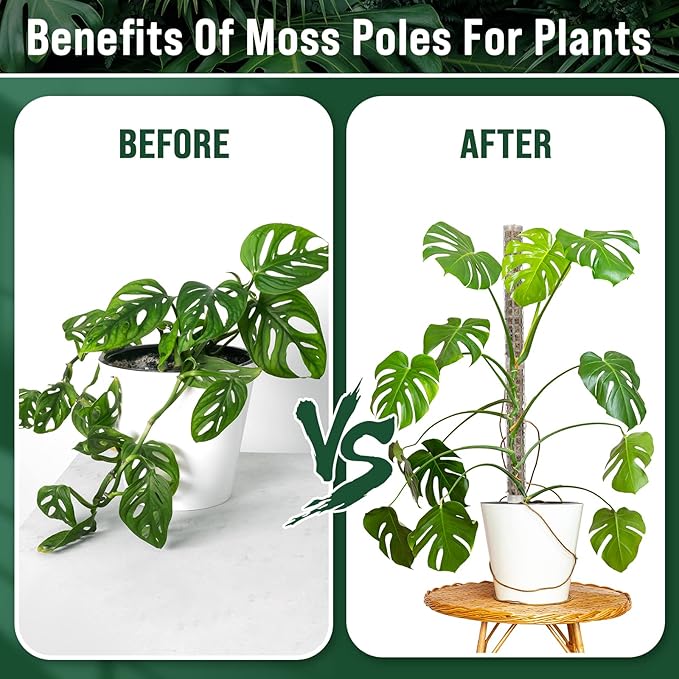 20 Pcs 15 Inch Plastic Moss Pole for Plants Monstera Moss Totem Pole Stick Plastic Monstera Plant Support 10 Pcs Plant Labels 4 Pcs 6.56 Ft Green Plant Ties Gardening Tape for Climbing Plants Creepers