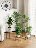 5-Pack Metal Plant Stands for Outdoor Indoor, Anti-Rust Iron Flower Pot Stand, Heavy Duty Plant Pot Shelf for Multiple Plant, Decoration Racks for Home, Patio & Garden (Black)