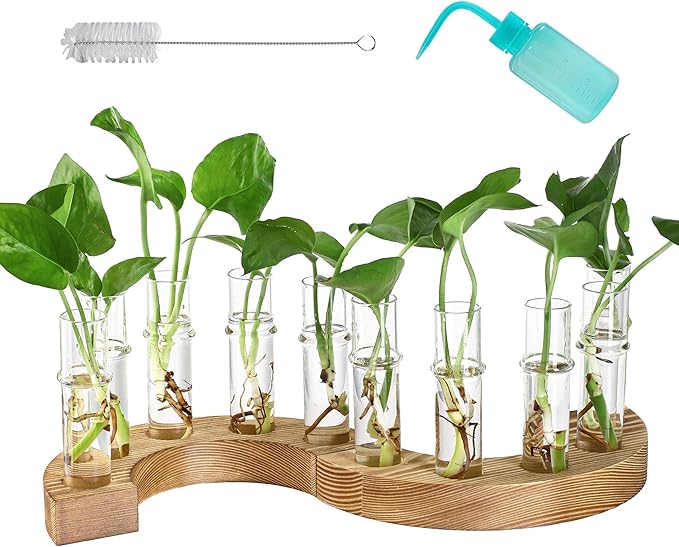 2 PCS Plant Propagation Station with Wooden Stand, Glass Terrarium Vases for Plants, Birthday Gifts for Women Mom Plants Lovers, Home Office Garden Decor, 10 Tubes