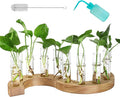 2 PCS Plant Propagation Station with Wooden Stand, Glass Terrarium Vases for Plants, Birthday Gifts for Women Mom Plants Lovers, Home Office Garden Decor, 10 Tubes