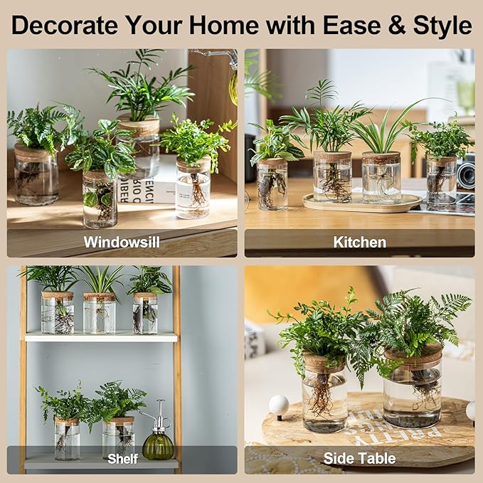 Plant Propagation Stations for Plants, 2 Size Glass Propagation Vases for Propagating Hydroponic Indoor Home Office Decor, Tabletop Glass Planter Gift for Plant Lovers (4)