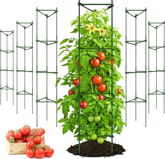 K-Brands Tomato Cage - Tomatoes Plant Stakes Support Cages, Trellis for Garden & Pots, Plant Support Structures for Vegetables and Climbing Plants (6 Pack - Tall Upto 68 inches)