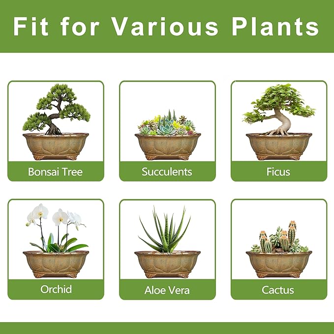 Ceramic Bonsai Pots - 11 Inch Succulent Planters for Indoor Outdoor Plants, Bonsai Tree Pots with Drainage Hole, Shallow Succulent Plant Pot, Room Decor, Plant Lover Gift, Oval Yellowish Brown