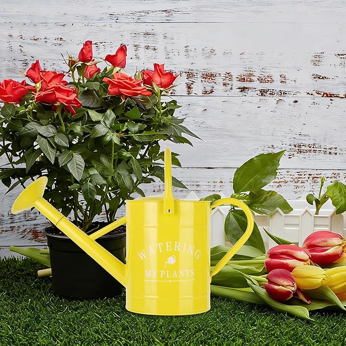 Garutom Galvanized Watering Can for Outdoor Indoor Plants, 1 Gallon Decorative Countryside Water Can with Removable Spout, Metal Watering Can for Indoor Plants and Garden Flower (Yellow)