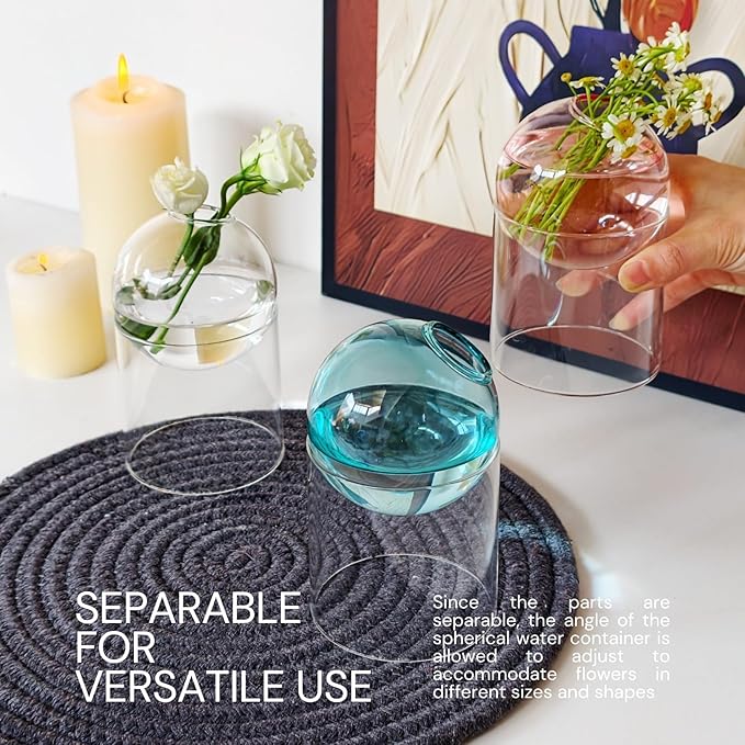 3-Pack Glass Hydroponics Vase Set | Unique Plant Propagation Station with Removable Base, Cute Flower Vase & Mini Terrarium for Plants
