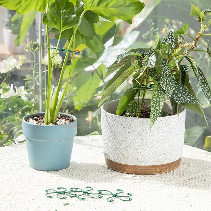 Yohsnor Monstera Plant Stem Support - Set of 5 Sturdy Indoor Support Sticks for Monstera & Climbing Plants - Essential Growth Stabilizers for Leaf Support - Easy-to-Use Gardening Accessories